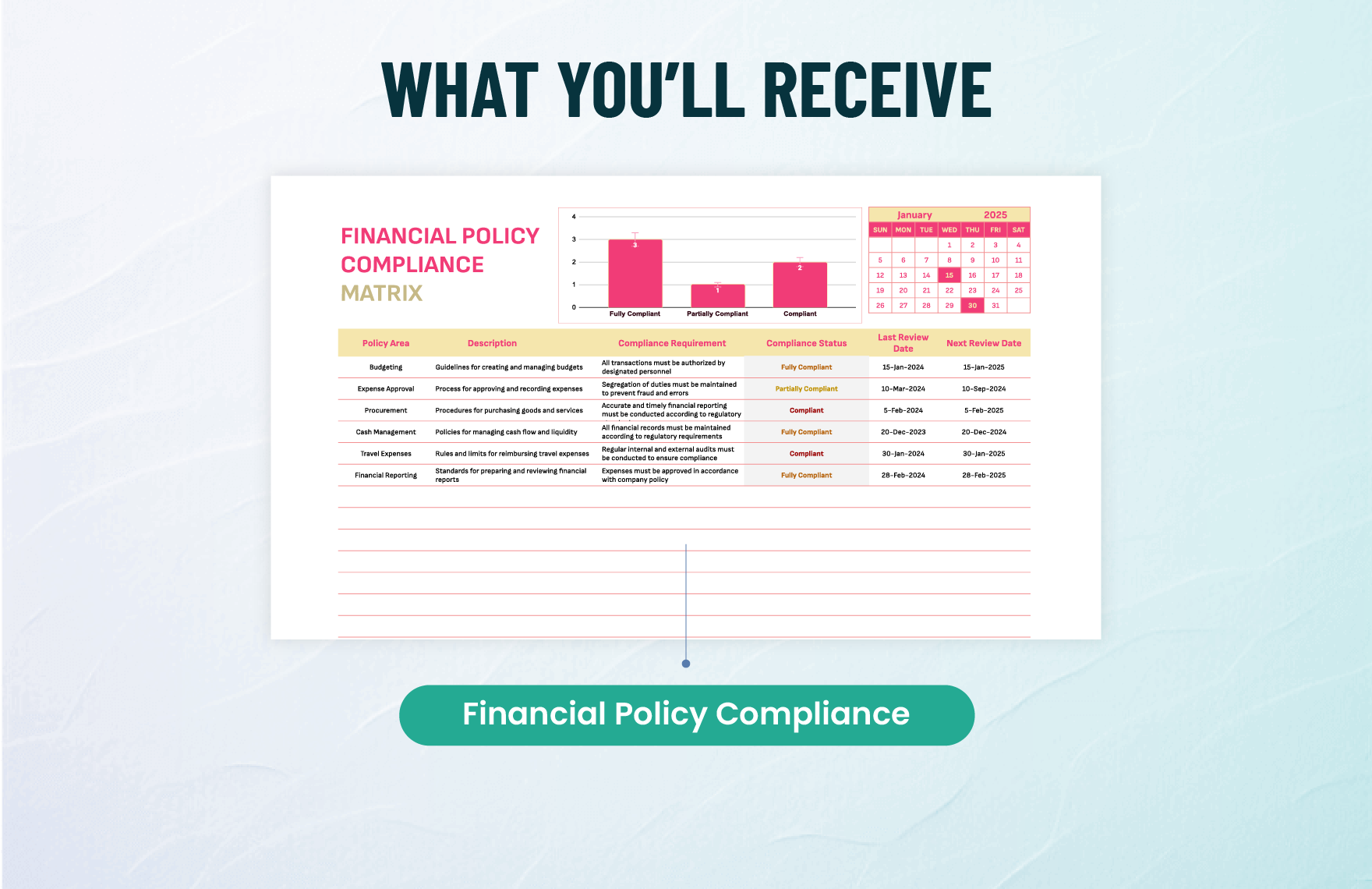 Financial Policy Compliance Matrix Template