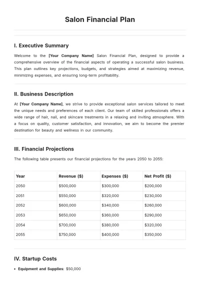 Free Salon Financial Plan Template to Edit Online