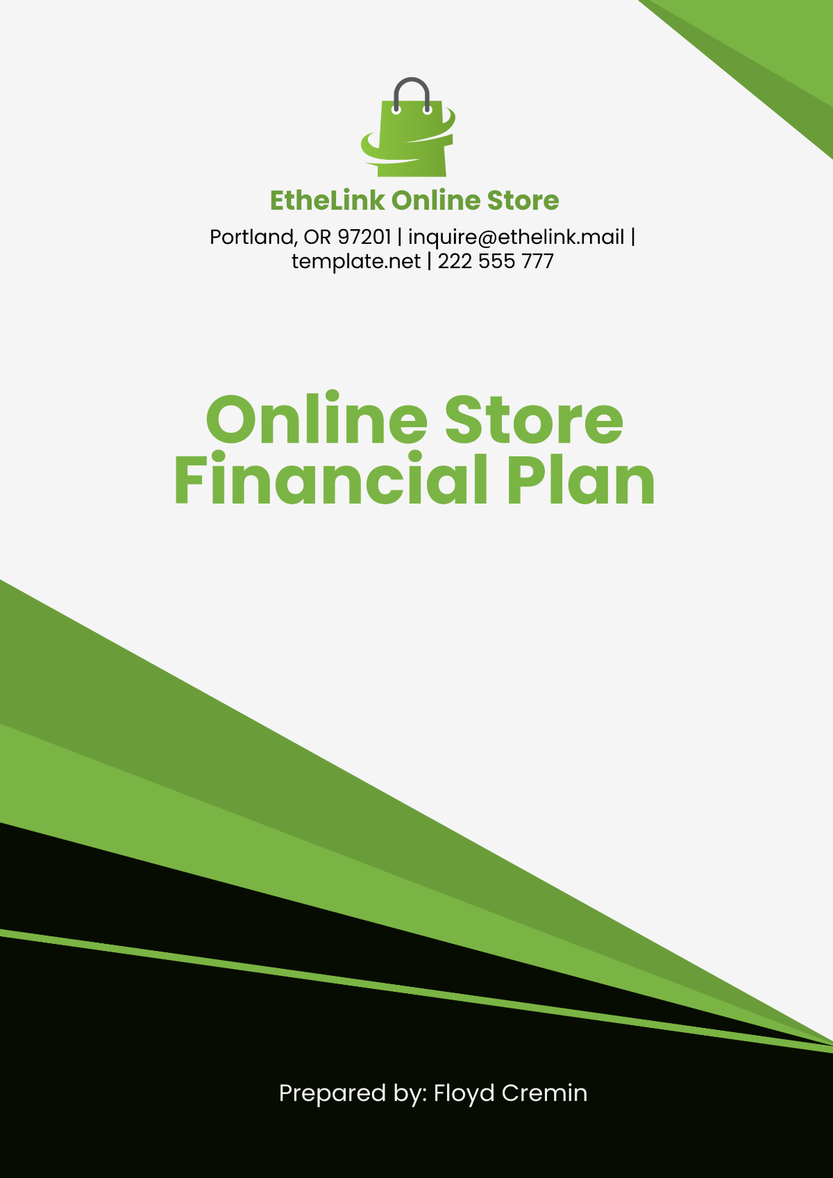 Online Store Financial Plan Template - Edit Online & Download