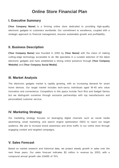 Free Online Store Financial Plan Template to Edit Online