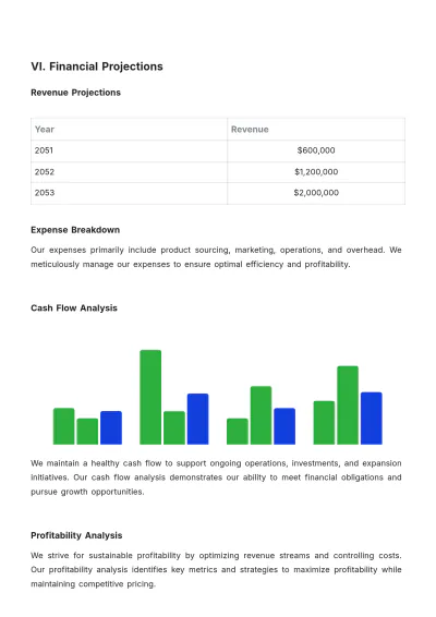 Free Online Store Financial Plan Template to Edit Online