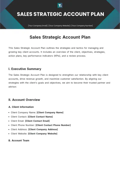 Free Sales Strategic Account Plan Template to Edit Online