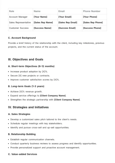 Free Sales Strategic Account Plan Template to Edit Online