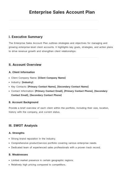 Free Enterprise Sales Account Plan Template to Edit Online