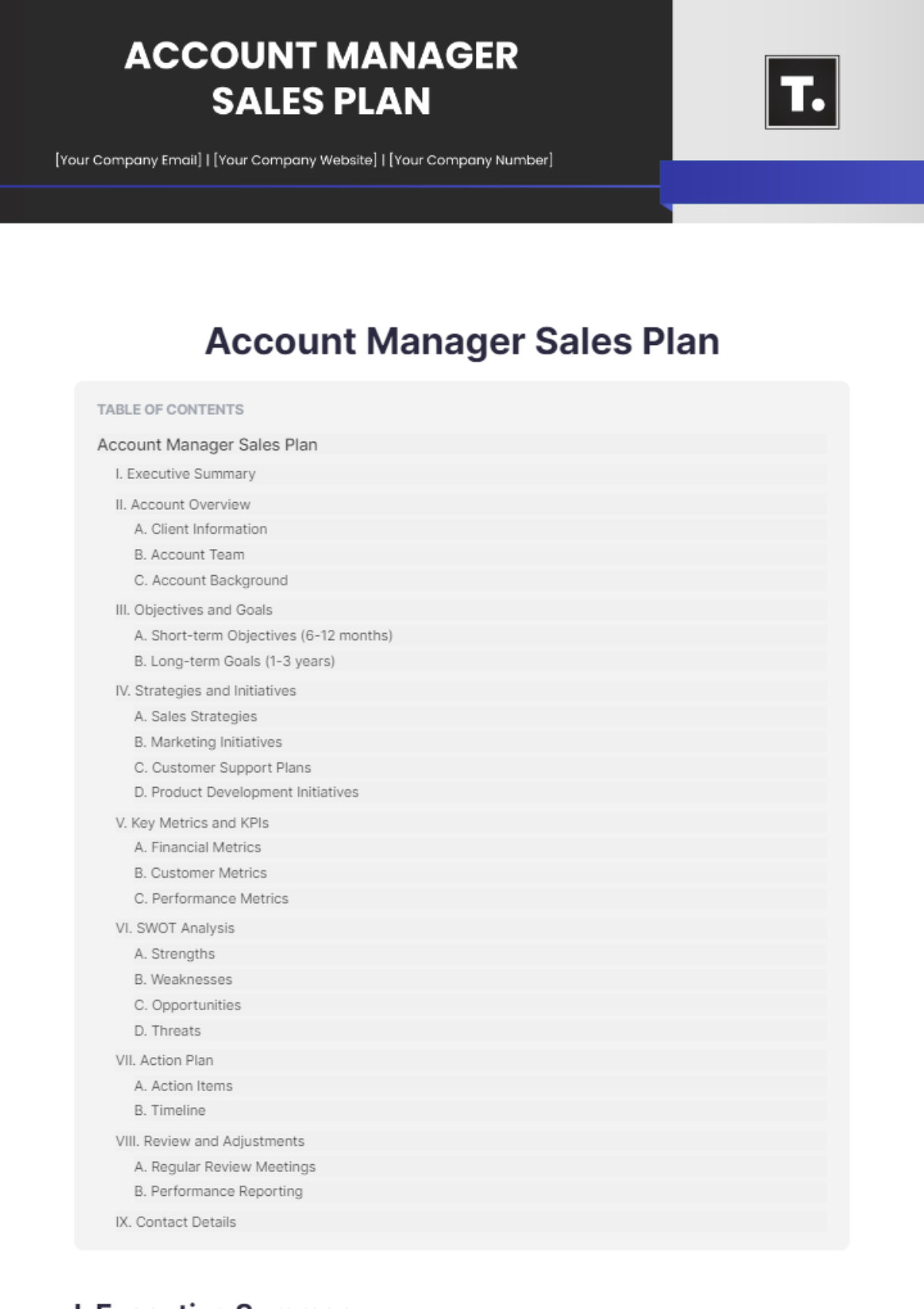 Account Manager Sales Plan Template - Edit Online & Download