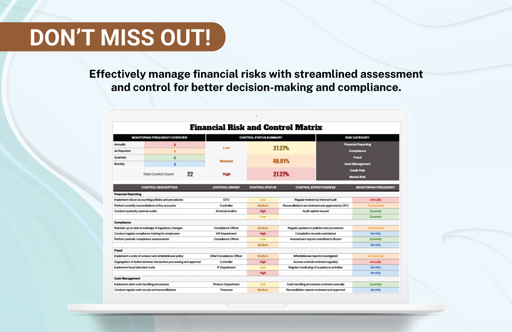 Financial Risk and Control Matrix Template