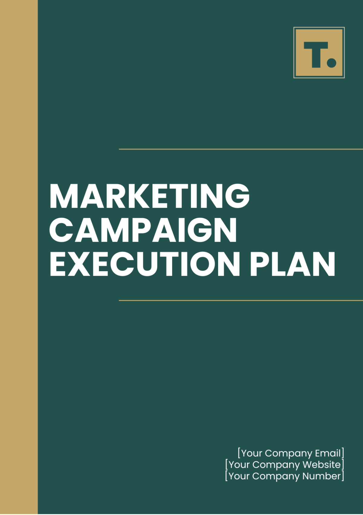 Marketing Campaign Execution Plan Template - Edit Online & Download