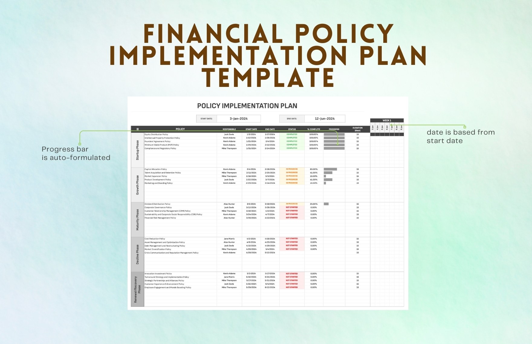 Financial Policy Implementation Plan Template