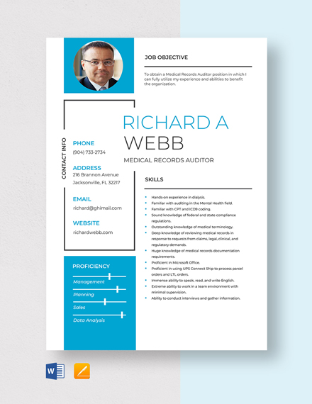Free Medical Records Auditor Resume Template - Word, Apple Pages