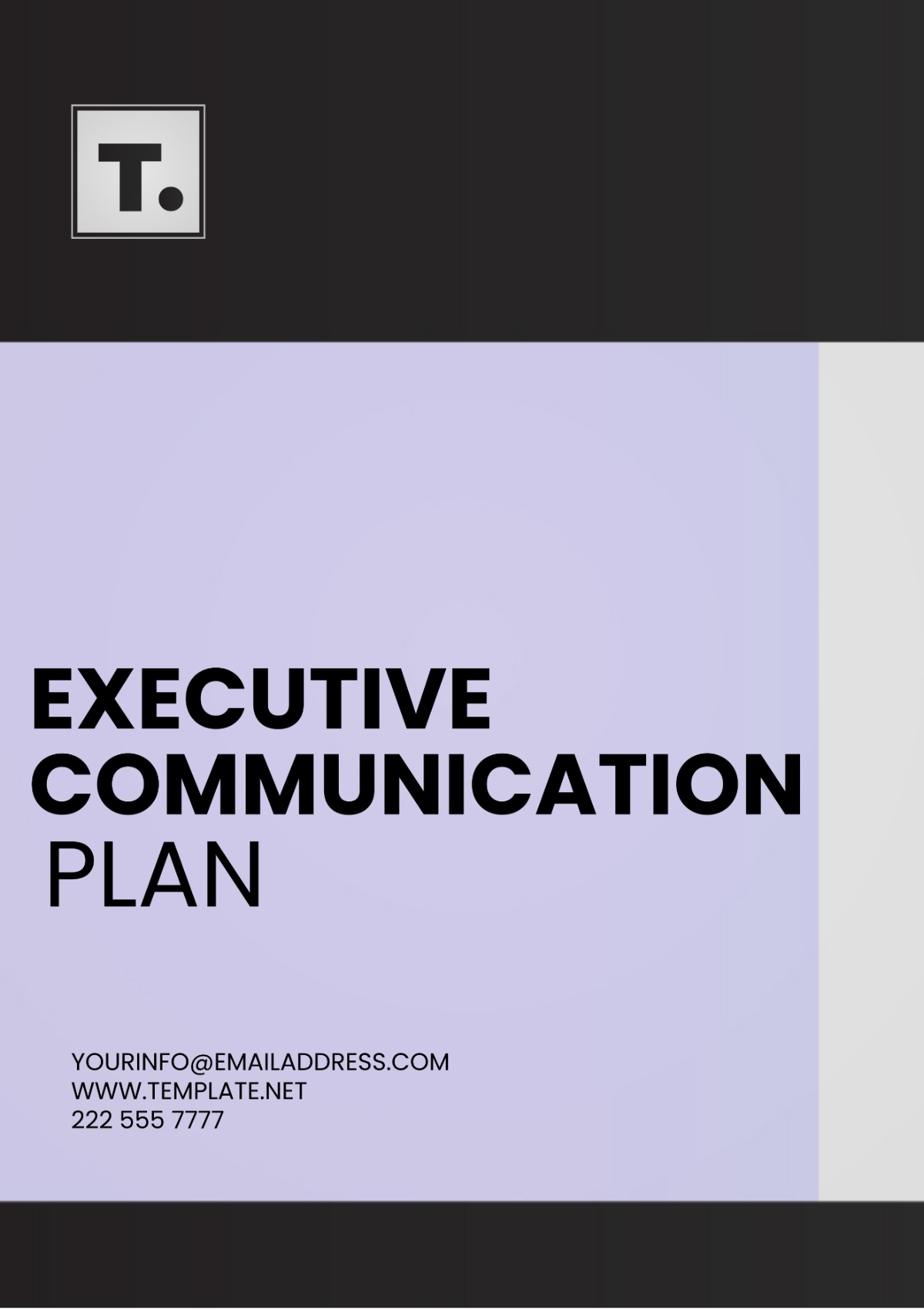 Executive Communication Plan Template Edit Online Download Example