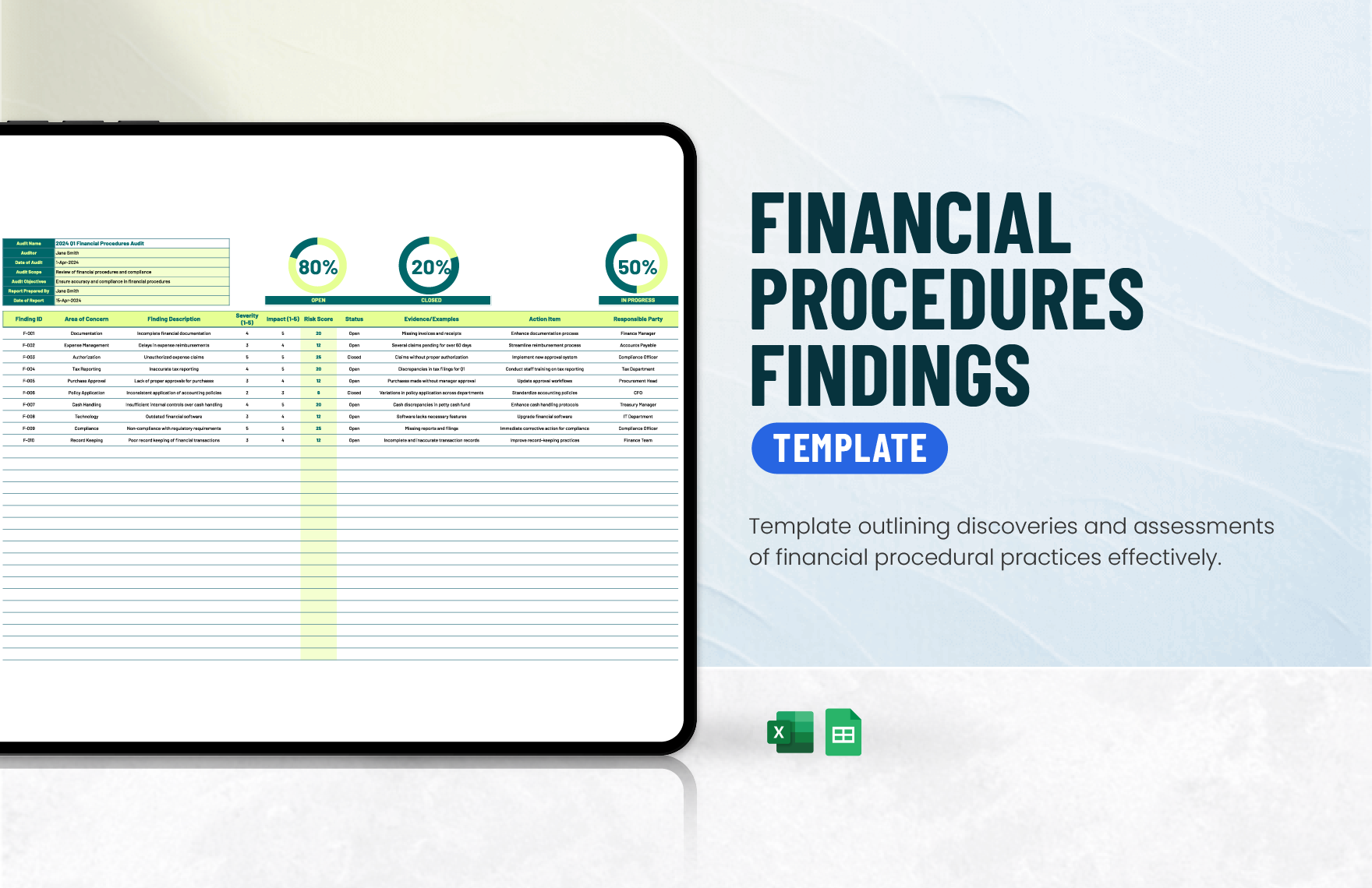 Financial Procedures Findings Template in Excel, Google Sheets