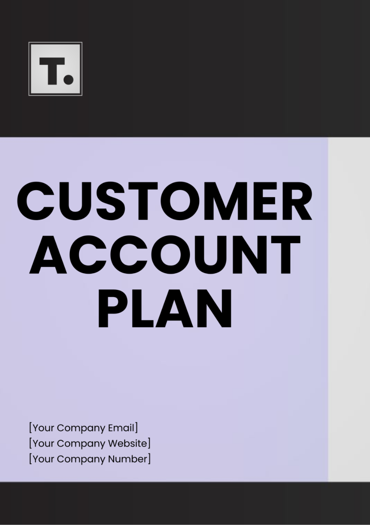 Customer Account Plan Template - Edit Online & Download