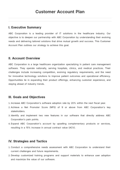Free Customer Account Plan Template to Edit Online