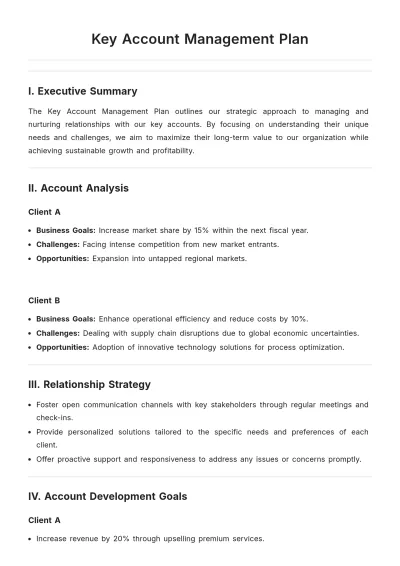 Free Key Account Management Plan Template to Edit Online