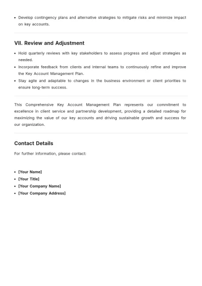 Free Key Account Management Plan Template to Edit Online