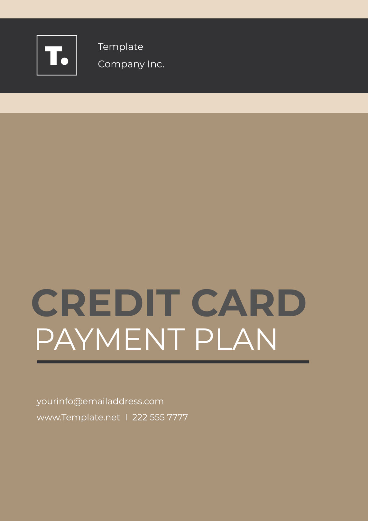 Free Credit Card Payment Plan Template