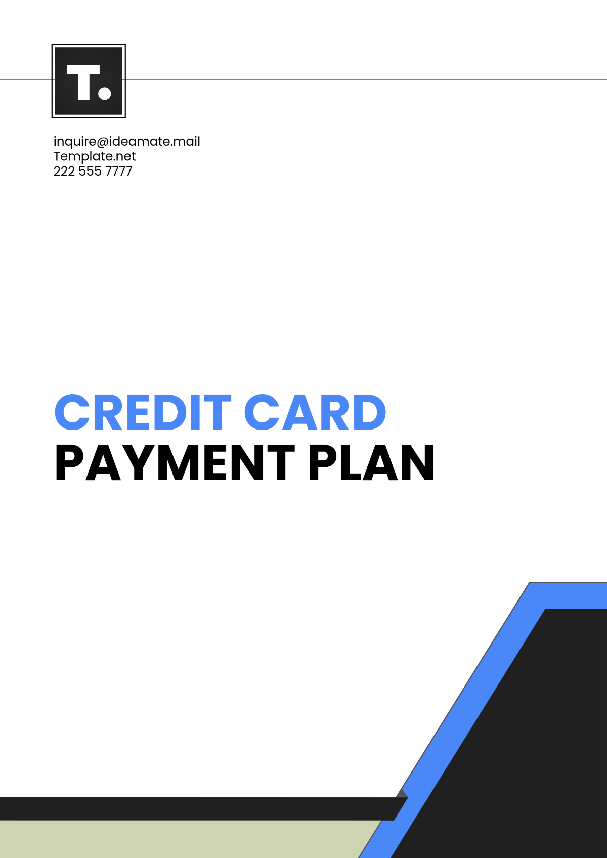 Credit Card Payment Plan Template - Edit Online & Download