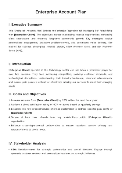 Free Enterprise Account Plan Template to Edit Online