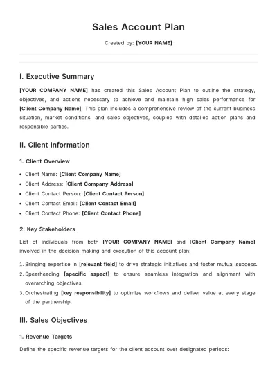Free Sales Account Plan Template to Edit Online