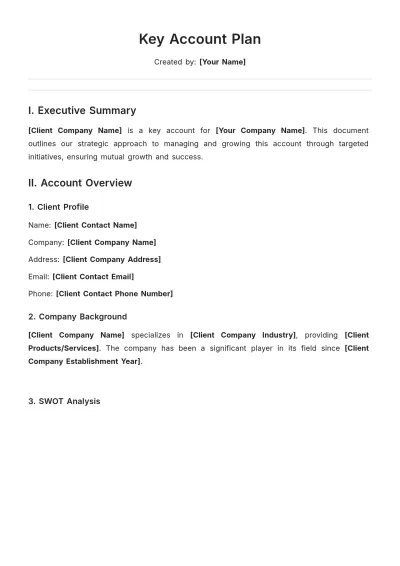 Free Key Account Plan Template to Edit Online