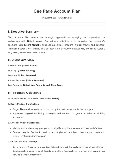 Free One Page Account Plan Template to Edit Online