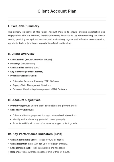 Free Client Account Plan Template to Edit Online