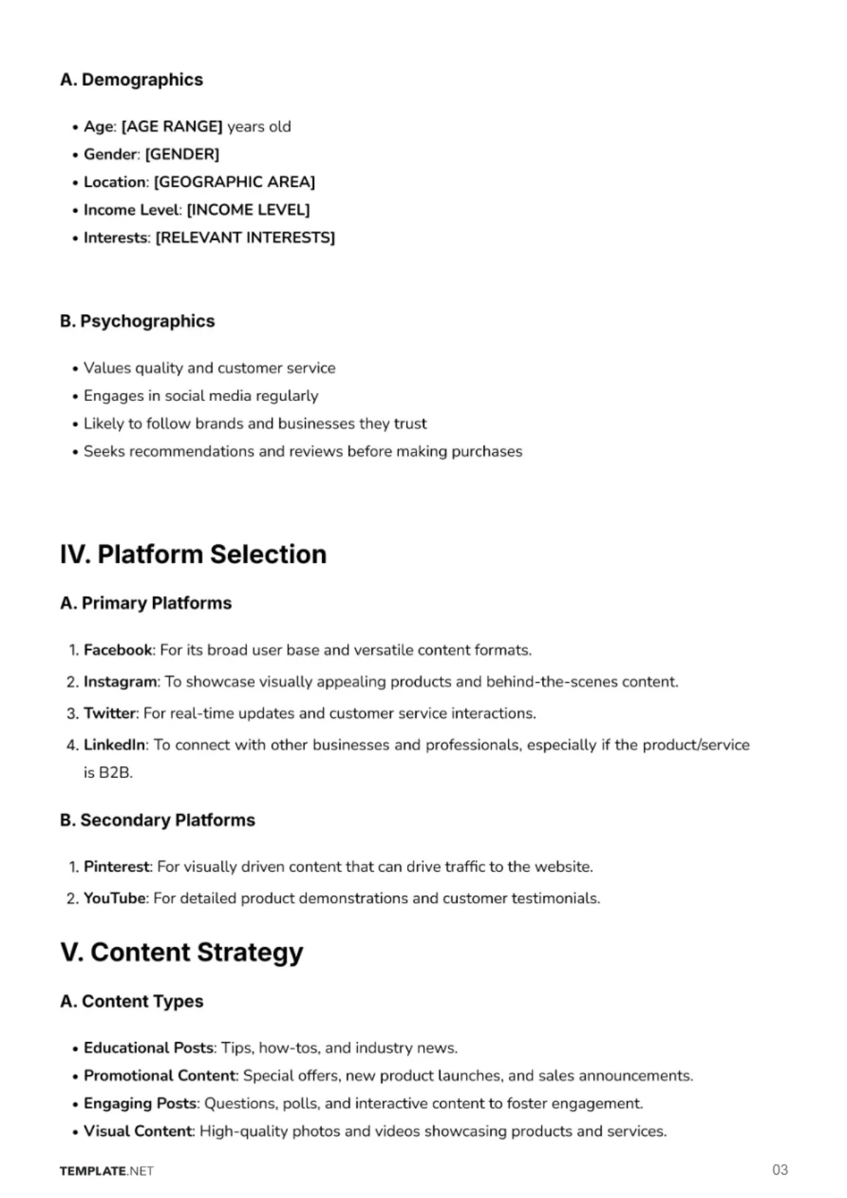 Free Social Media Plan For Small Business Template to Edit Online