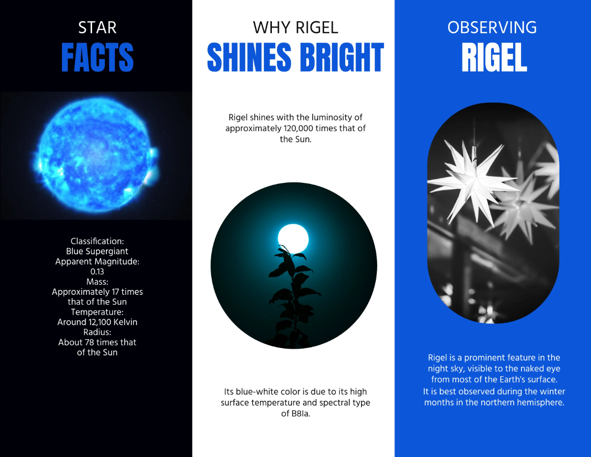 Free Rigel Brochure Template to Edit Online