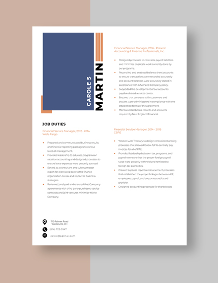 Financial Service Manager Resume Template [Free Pages ...