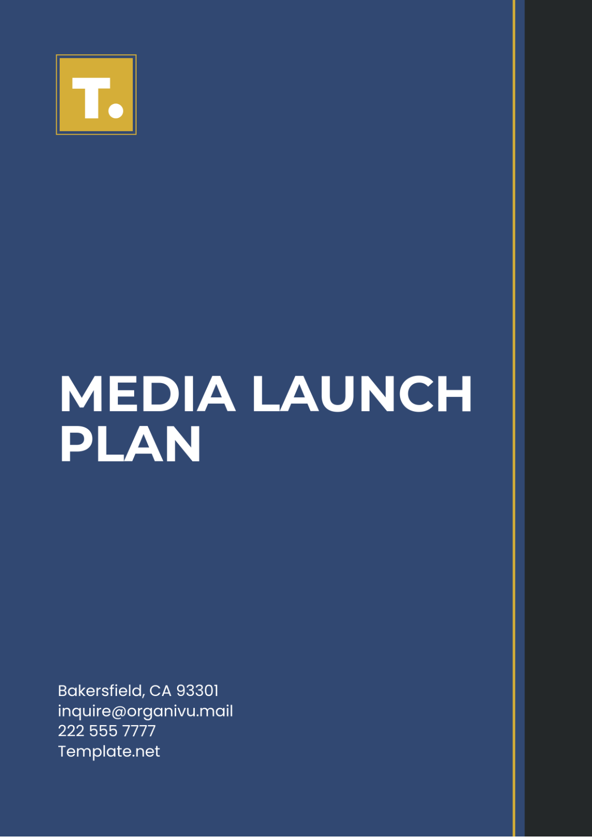 Media Launch Plan Template - Edit Online & Download