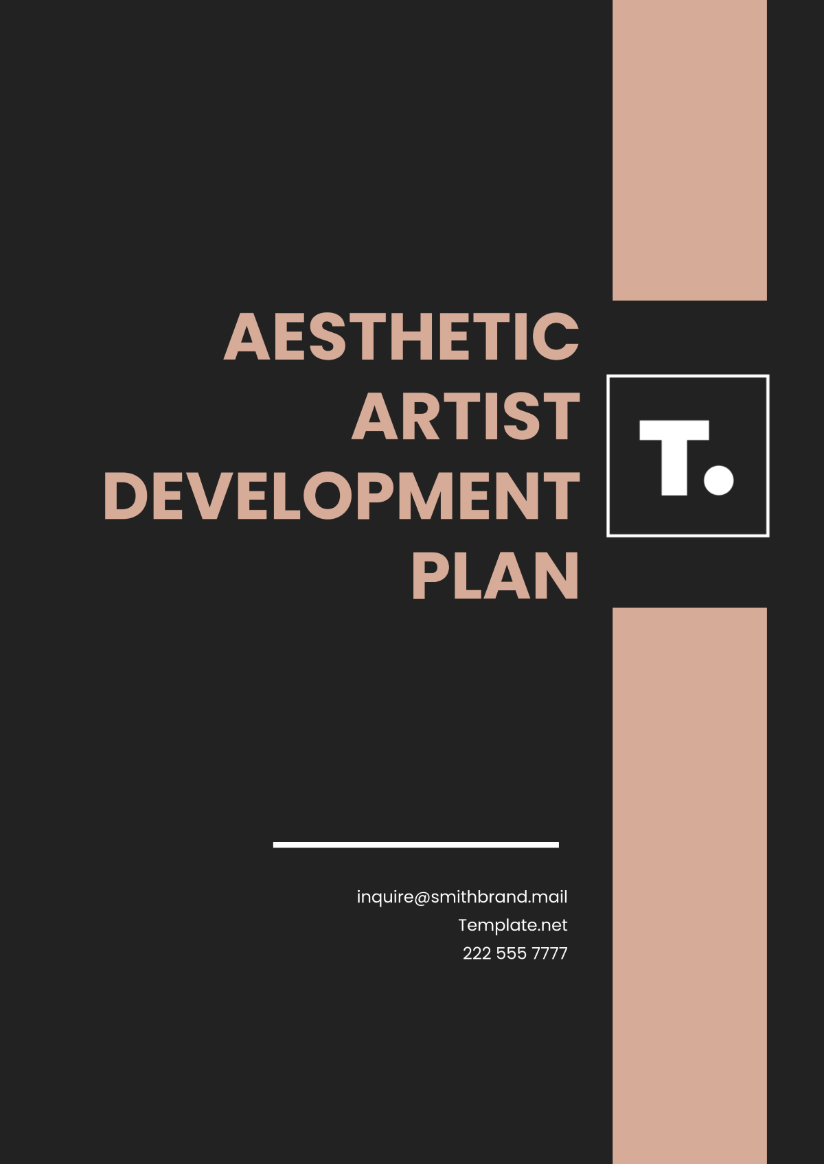 Aesthetic Artist Development Plan Template - Edit Online & Download