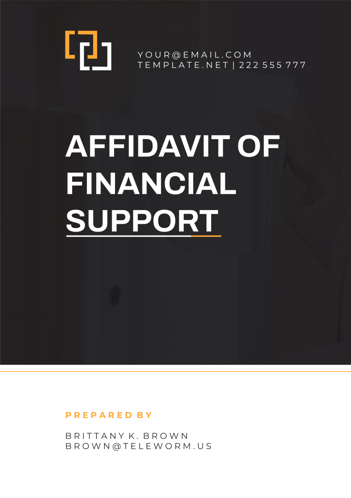 Affidavit Of Financial Support Template Edit Online Download
