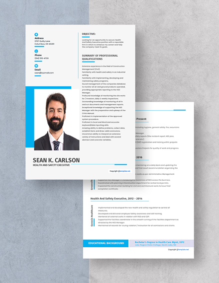 Health And Safety Executive Resume Download