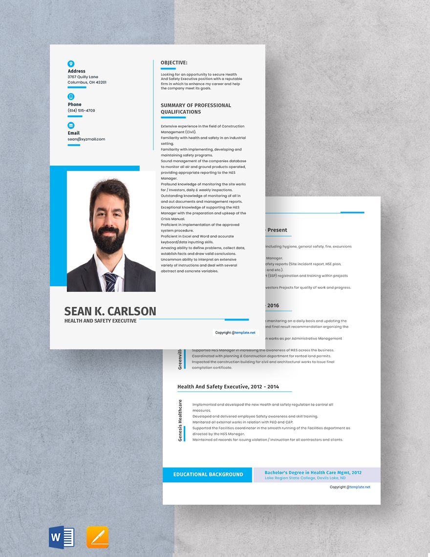Health And Safety Executive Resume