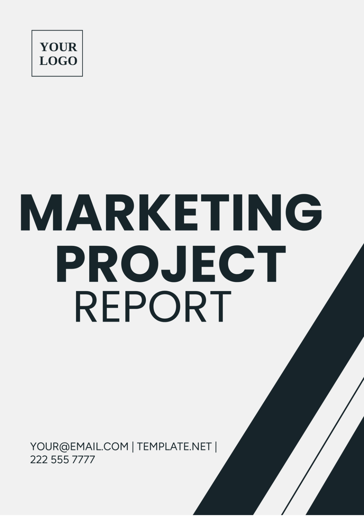 Marketing Project Report Template - Edit Online & Download