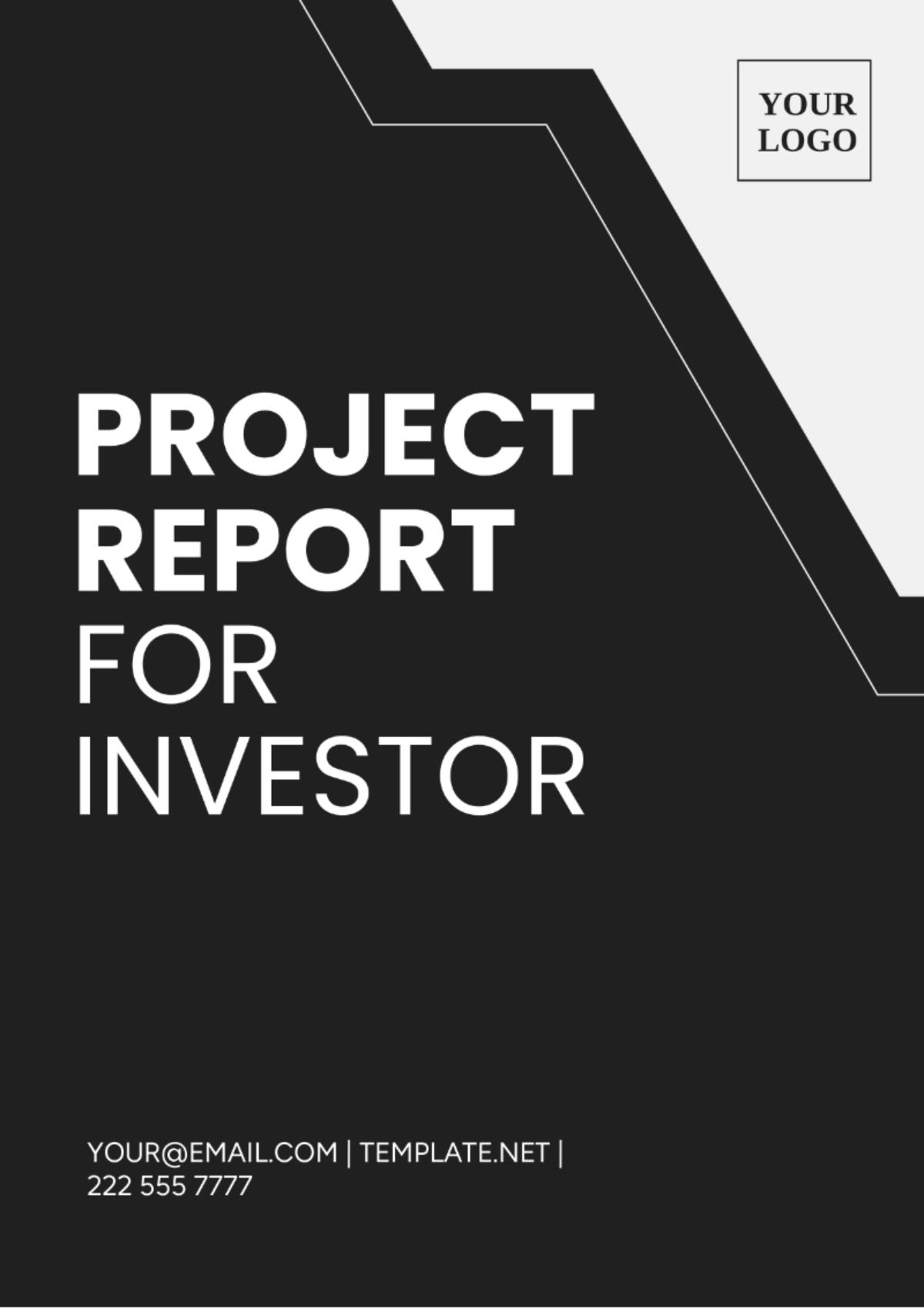 Project Report For Investors Template