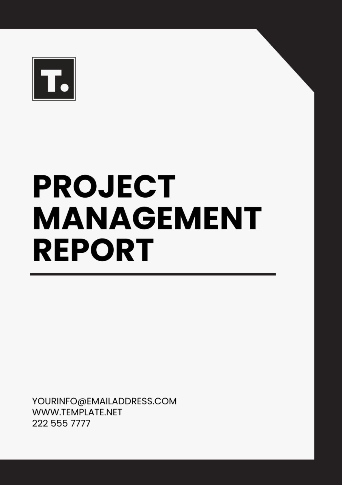 Project Management Report Template