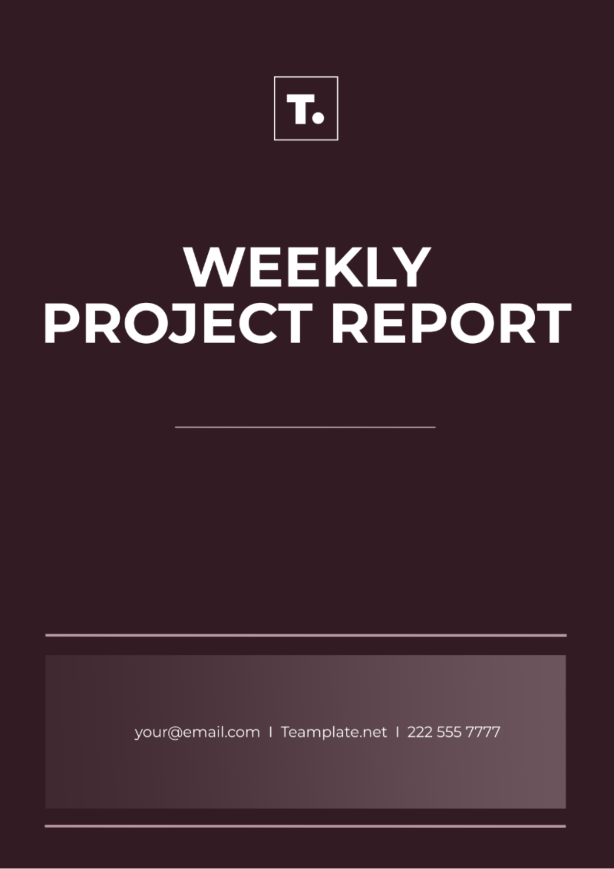 Weekly Project Report Template