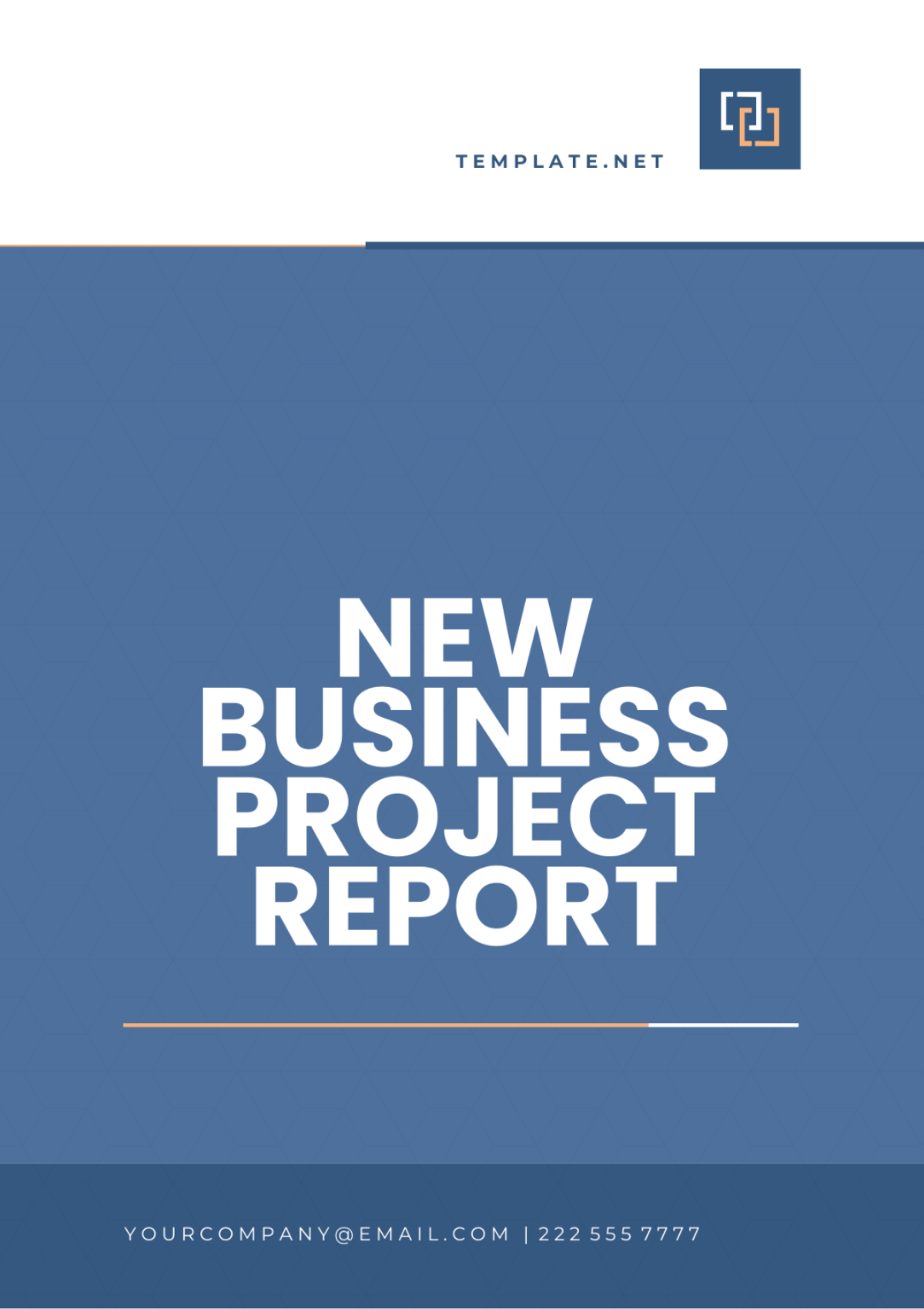 New Business Project Report Template