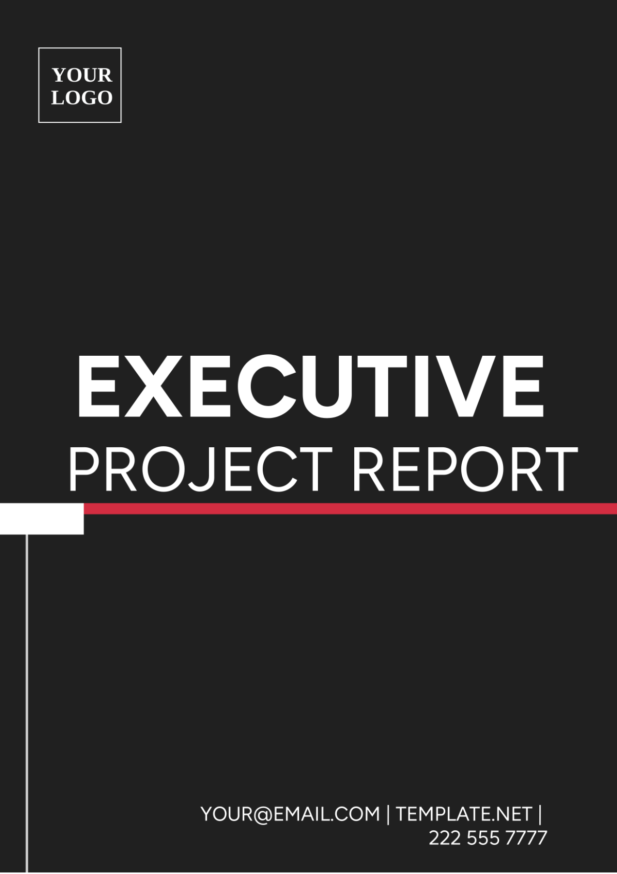 Executive Project Report Template - Edit Online & Download