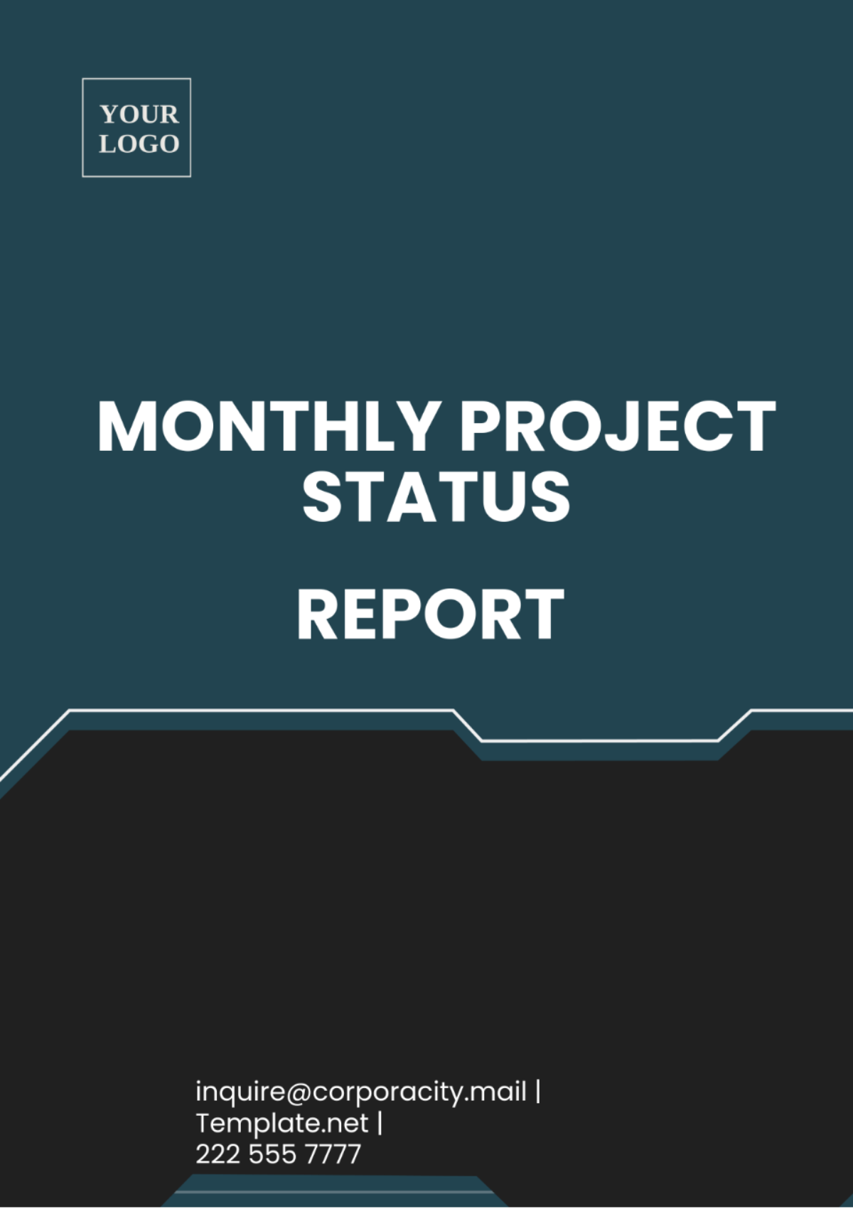 Monthly Project Status Report Template - Edit Online & Download