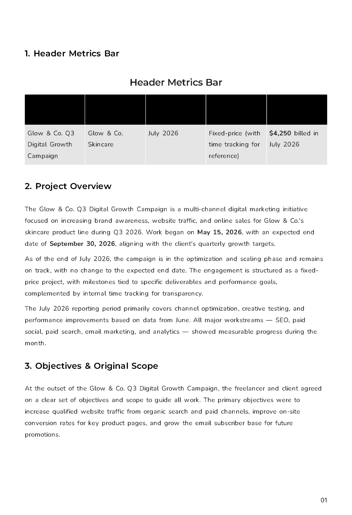 Free Freelance Project Report Template to Edit Online