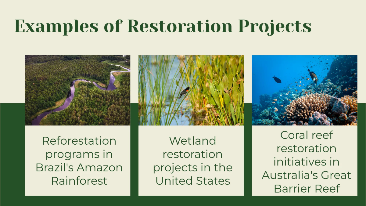 Free World Environment Day Presentation Template to Edit Online