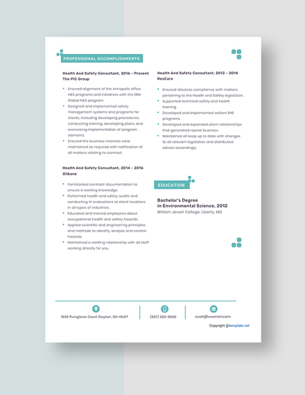 Health And Safety Consultant Resume Template