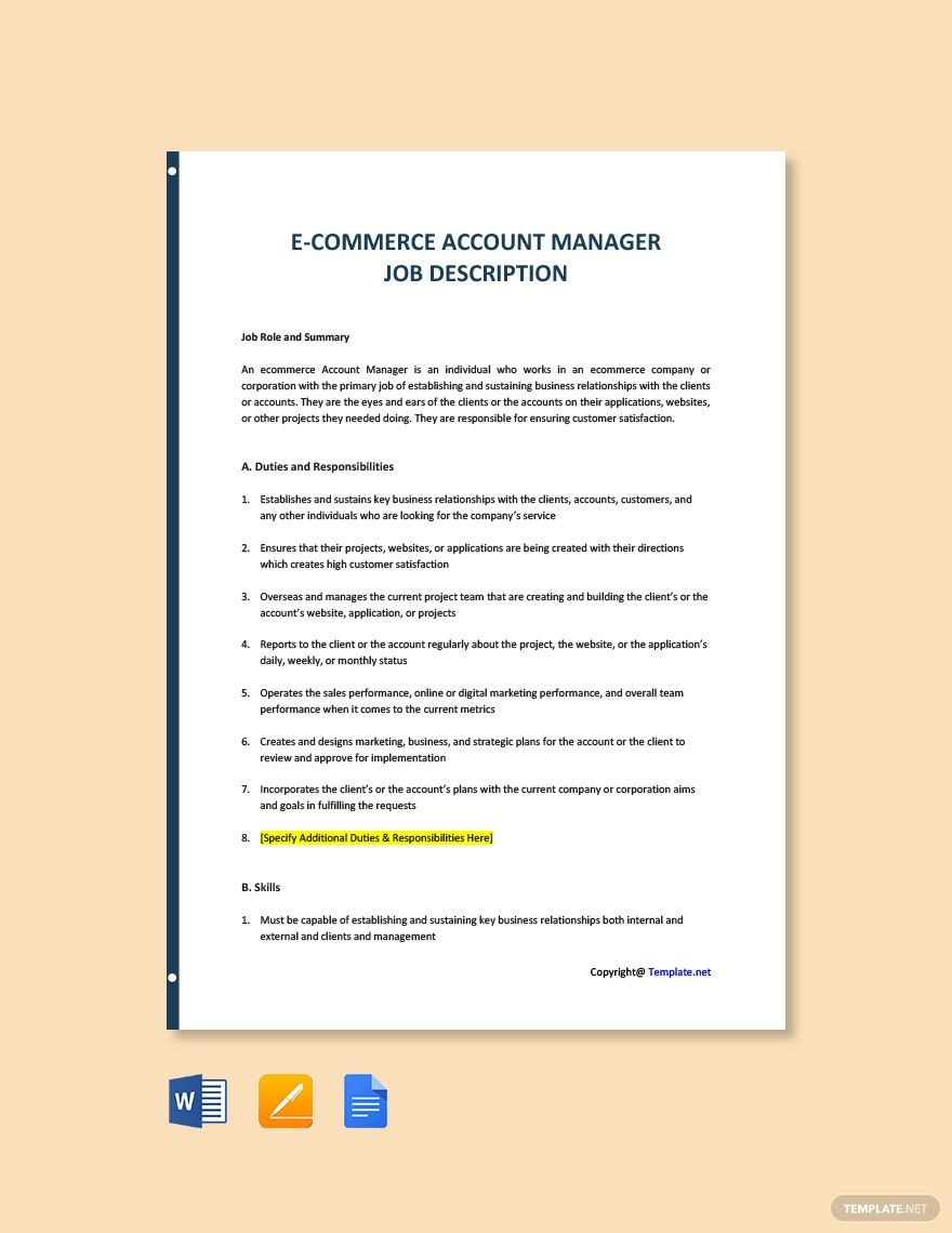 FREE Account Manager Pages Template Download