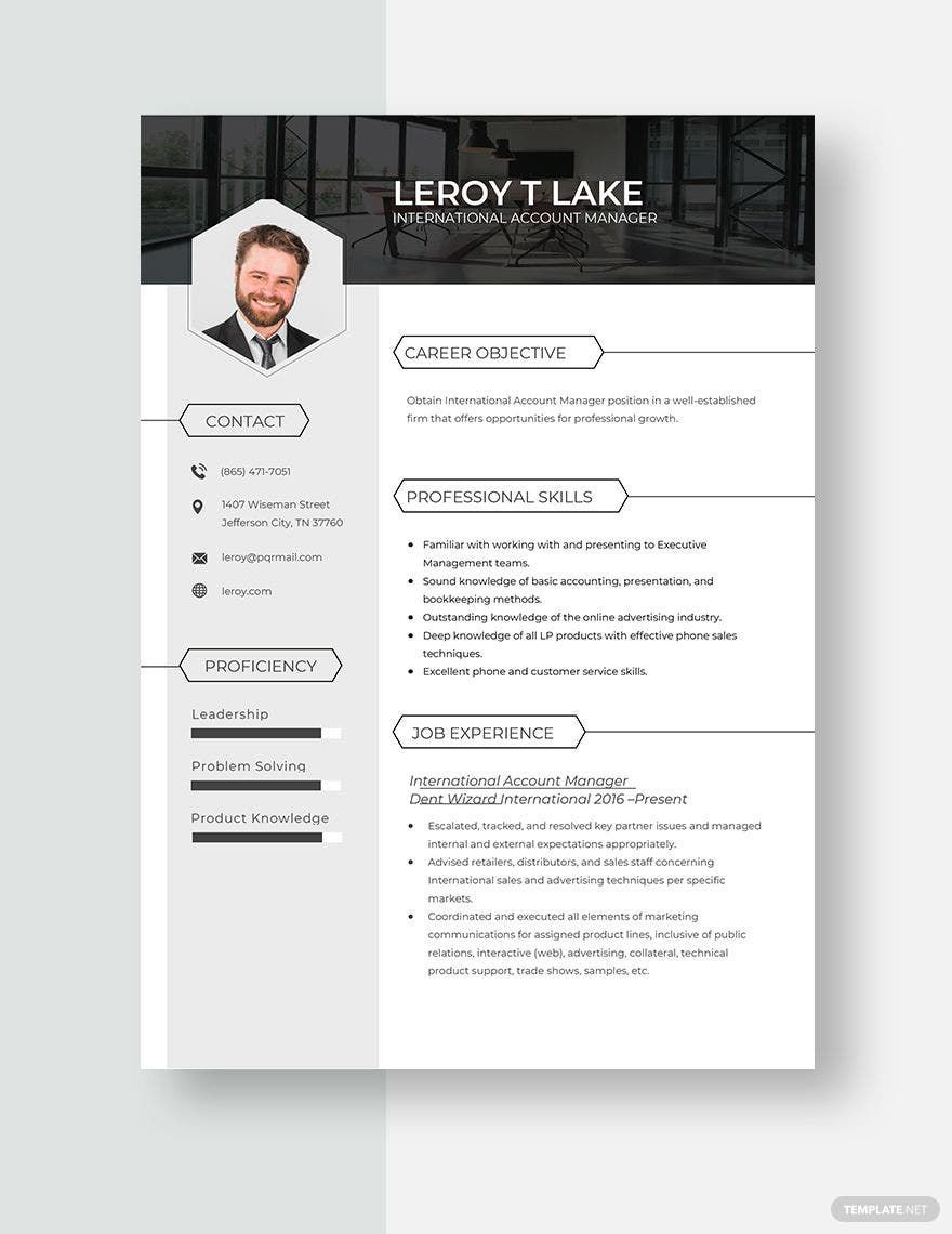 International Account Manager Resume s in Word, Apple Pages
