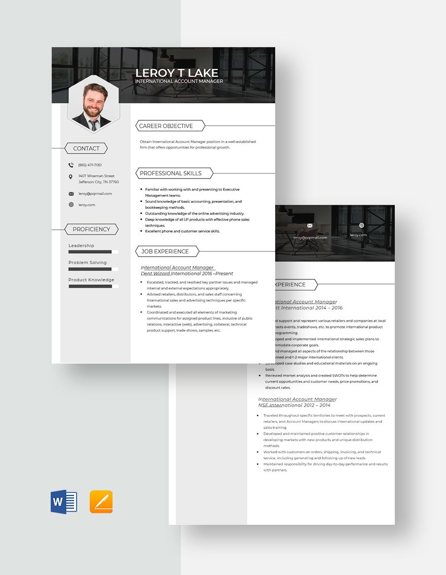 International Account Manager Resume s