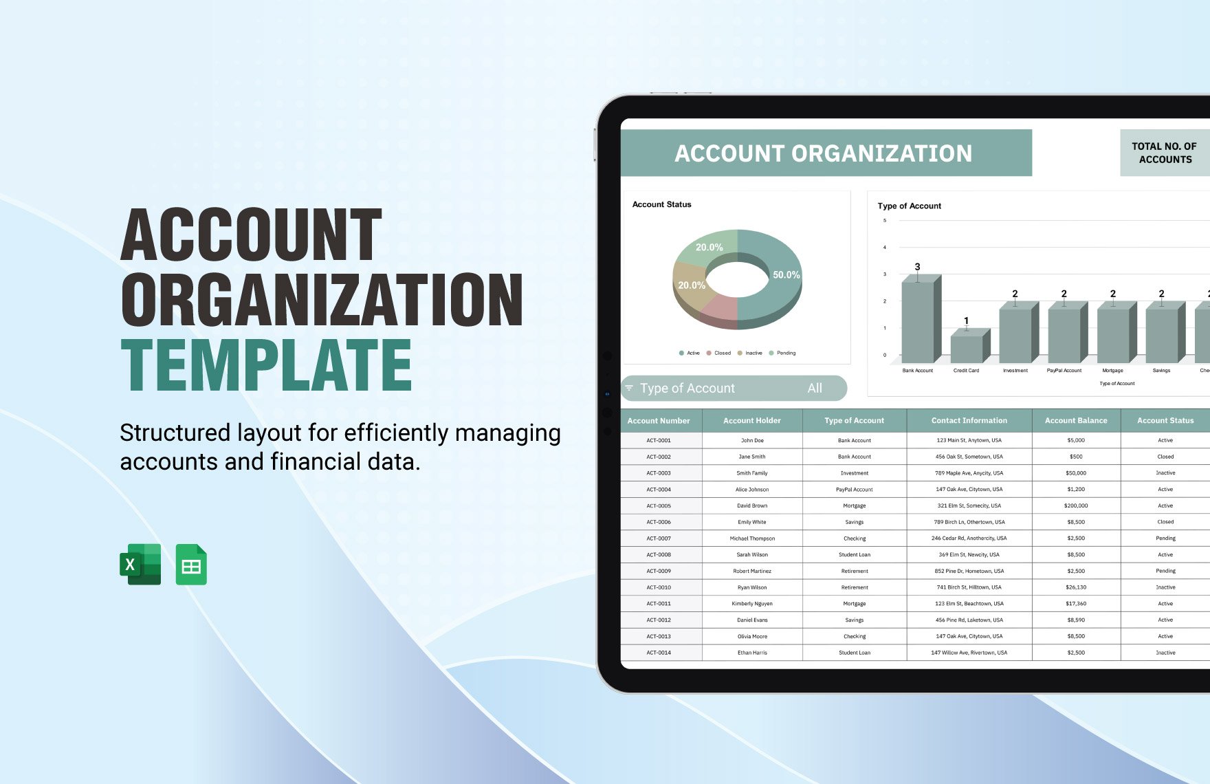 Account Organization Template in Excel, Google Sheets