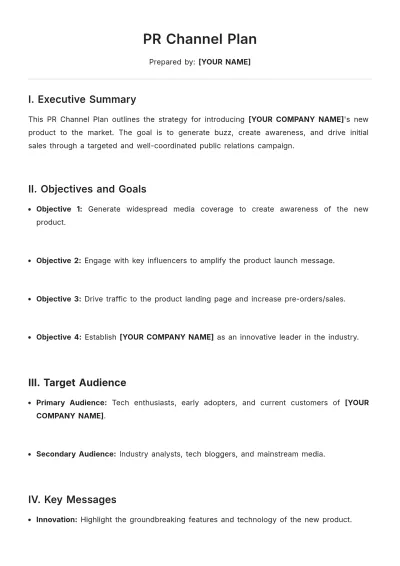 Free PR Channel Plan Template to Edit Online