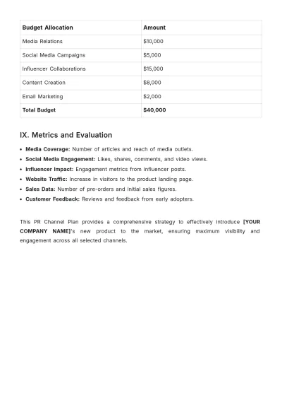 Free PR Channel Plan Template to Edit Online